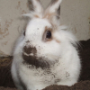 Photo de Pilouface
