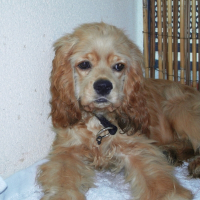 Photo de profil de Daisy