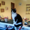 Photo de Louna