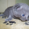 Photo de Etincelle