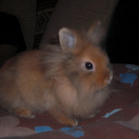 Photo de profil de Max