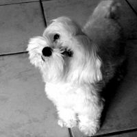 Photo de profil de Bounty