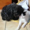 Photo de Lola