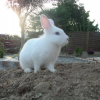 Photo de Spykie