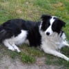 Photo de Canelle