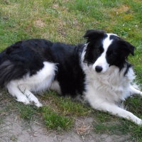Photo de profil de Canelle