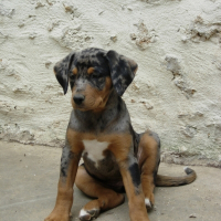 Photo de profil de Cheyenne
