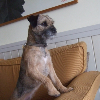 Photo de profil de Cairanne