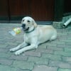 Photo de N-zo