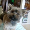 Photo de Dora
