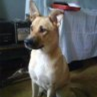 Photo de profil de Roxane