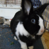 Photo de Luna