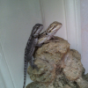 Photo de Liza et hypnos