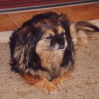 Photo de profil de Lady