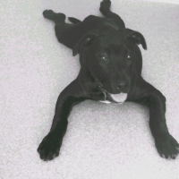 Photo de profil de Tia