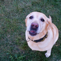Photo de profil de Sophia