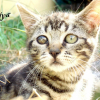 Photo de Kiya