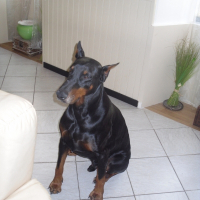 Photo de profil de Romeo