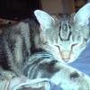 Photo de Bimbo