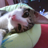 Photo de Nouky