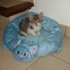 Photo de Bounty
