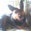 Photo de Sultan