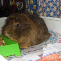 Photo de profil de Titi