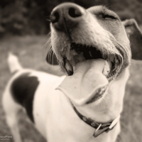Photo de profil de Gaïa