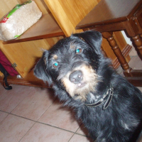 Photo de profil de Bozo surnom zobo