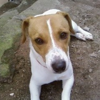 Photo de profil de Betty
