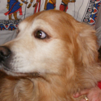 Photo de profil de Théo