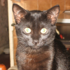 Photo de Figaro