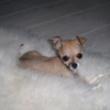 Photo de Doudoune