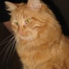 Photo de Pacha