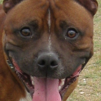 Photo de profil de Diaz