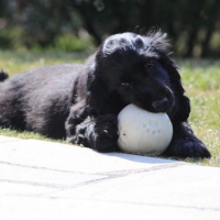 Photo de profil de Elisa