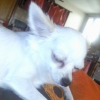 Photo de Loumia