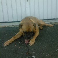 Photo de profil de Yria