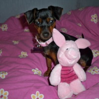 Photo de profil de Chanelle