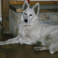 Photo de profil de Cristalle