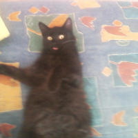 Photo de profil de Zoé