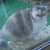 Photo de Isalyne