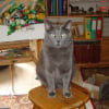 Photo de Lucky