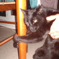 Photo de profil de Yoky