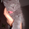 Photo de Doryo