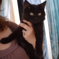 Photo de profil de Ella