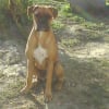 Photo de Eligane