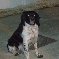 Photo de profil de Axel