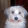 Photo de Cracotte