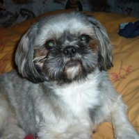 Photo de profil de Alix